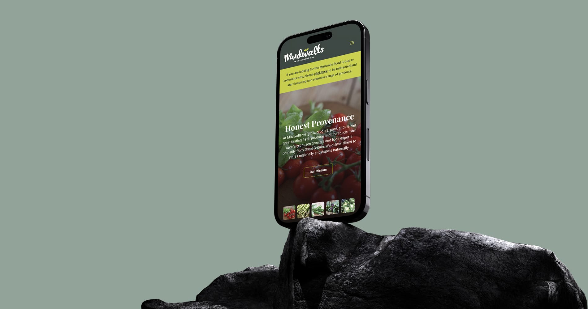 A mockup of a mobile phone showcasing the homepage of the Mudwalls Farm WordPress website design.