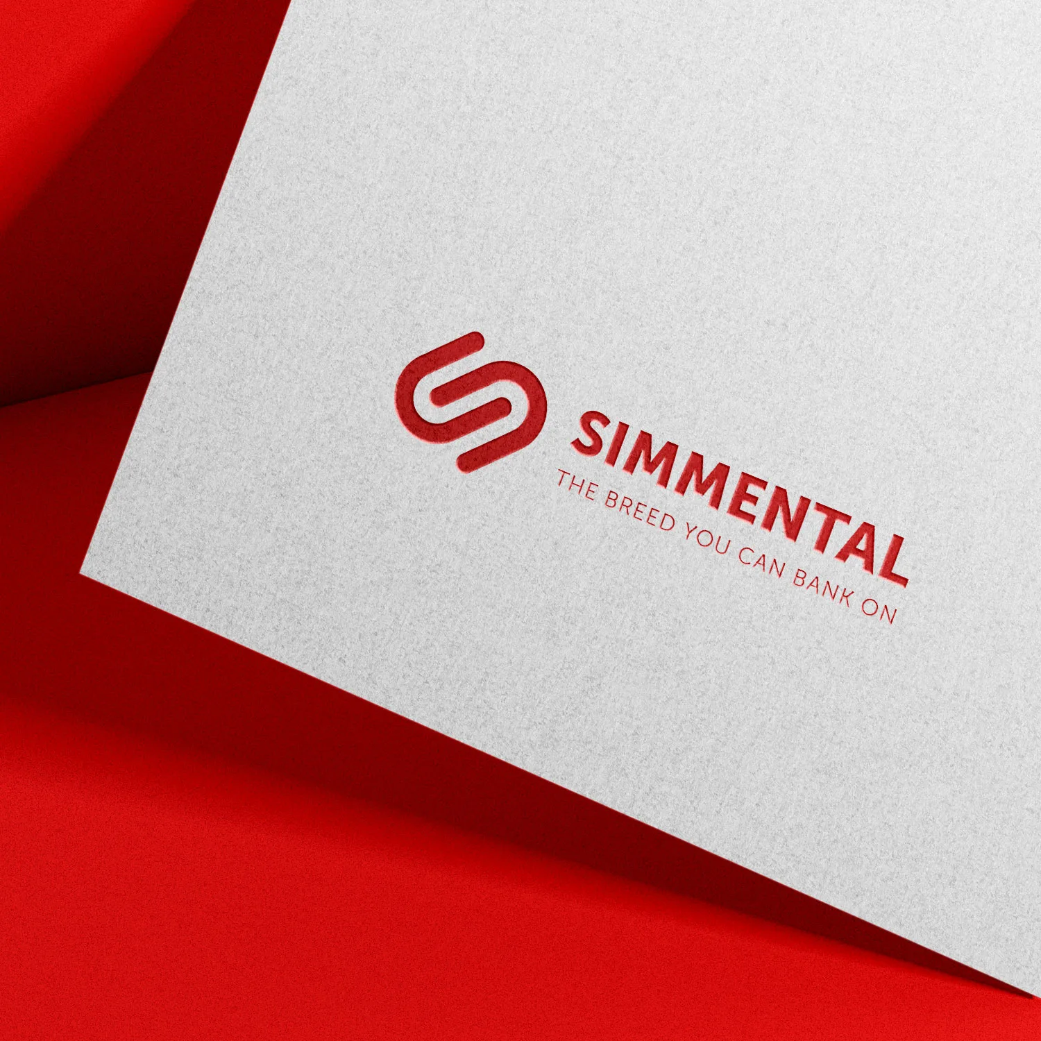 Simmental Logo Branding Document Footer Mockup Simmental Logo Branding Document Footer Mockup